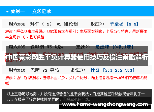 中国竞彩网胜平负计算器使用技巧及投注策略解析